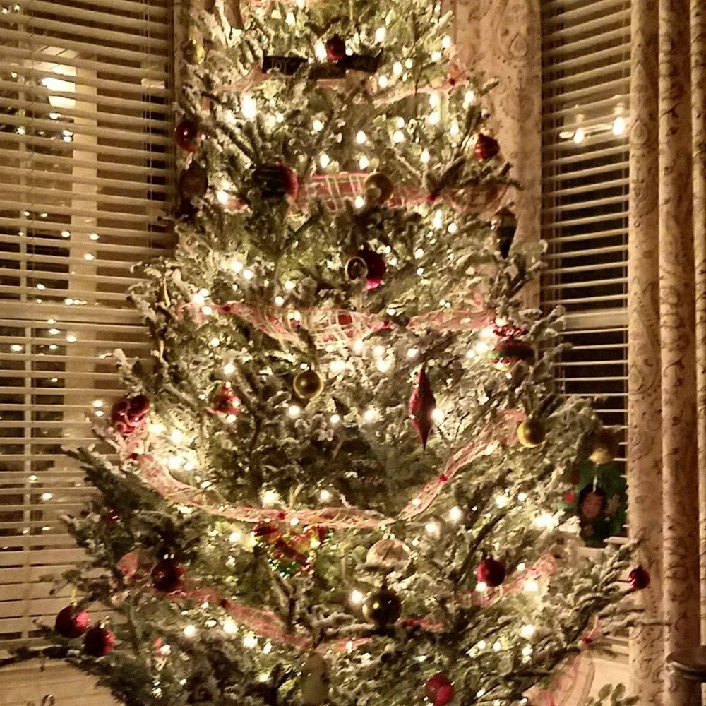 Meet your Posher, Rose